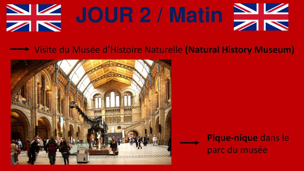 JOUR 2 / Matin Visite du Musée d’Histoire Naturelle (Natural History Museum) Pique-nique dans le parc du musée.