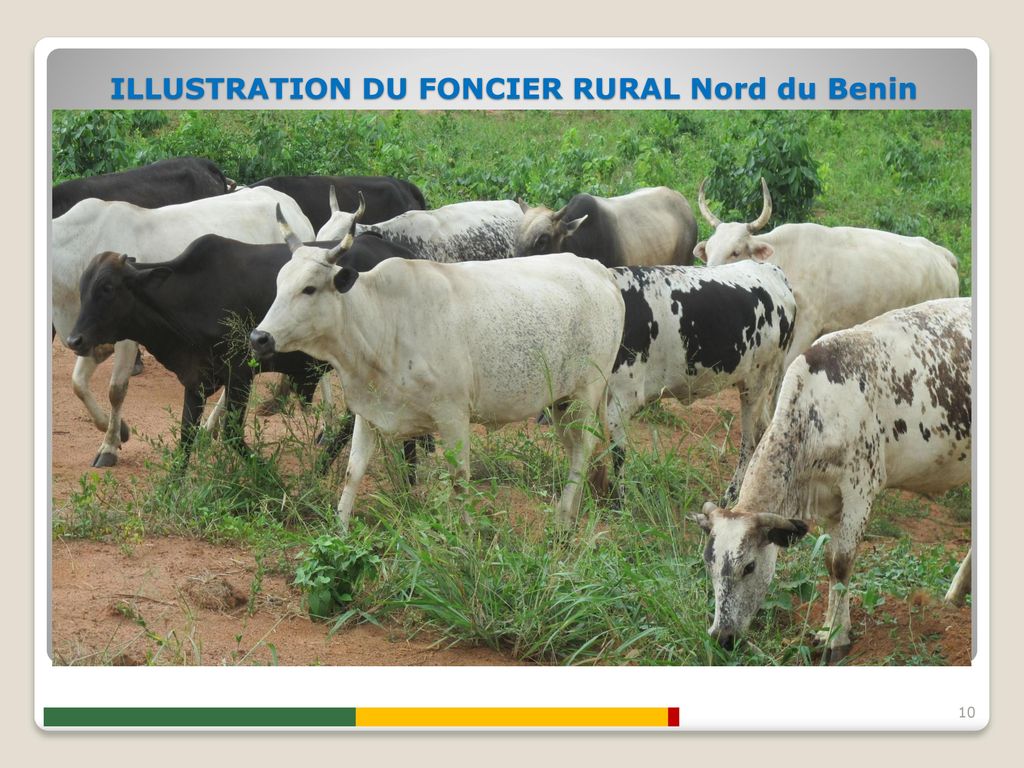 ILLUSTRATION DU FONCIER RURAL Nord du Benin