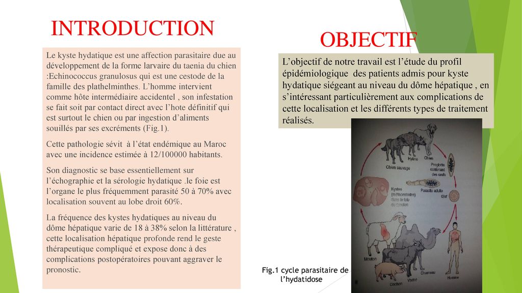 OBJECTIF INTRODUCTION