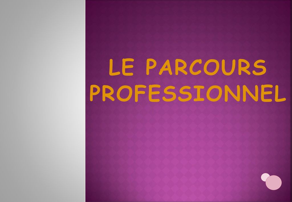 LE PARCOURS PROFESSIONNEL