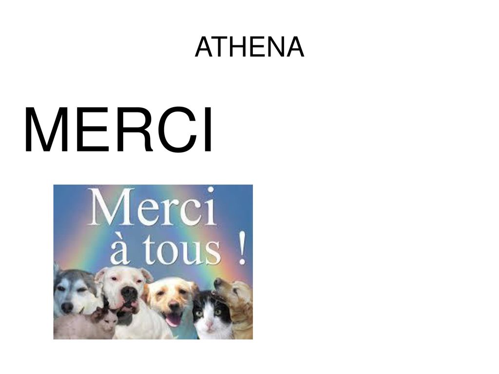 ATHENA MERCI