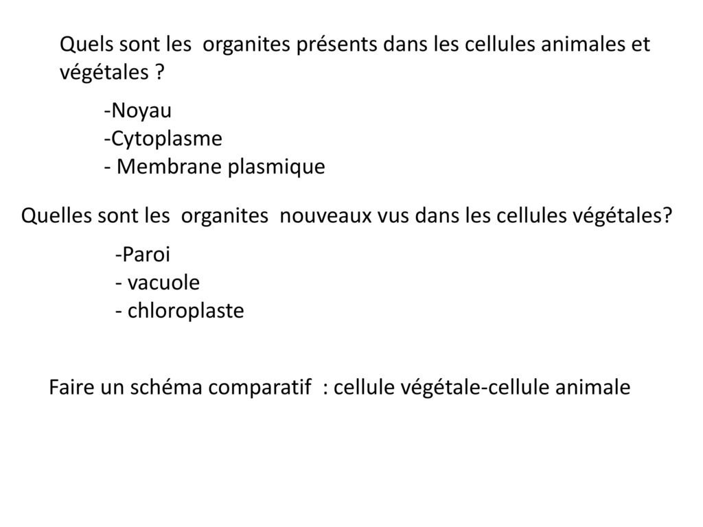 Quels sont les organites présents dans les cellules animales et végétales