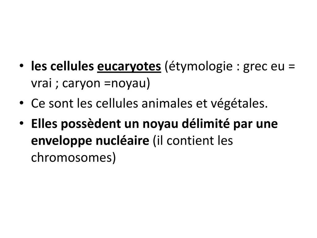 les cellules eucaryotes (étymologie : grec eu = vrai ; caryon =noyau)