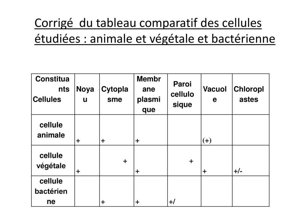 Corrigé du tableau comparatif des cellules étudiées : animale et végétale et bactérienne
