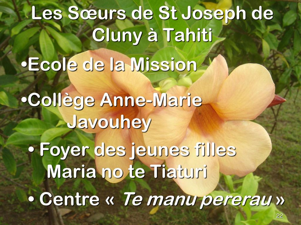 Les Sœurs de St Joseph de Cluny à Tahiti