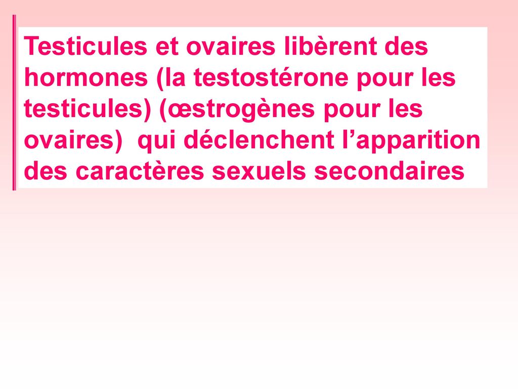 Testicules et ovaires libèrent des hormones (la testostérone pour les testicules) (œstrogènes pour les ovaires) qui déclenchent l’apparition des caractères sexuels secondaires