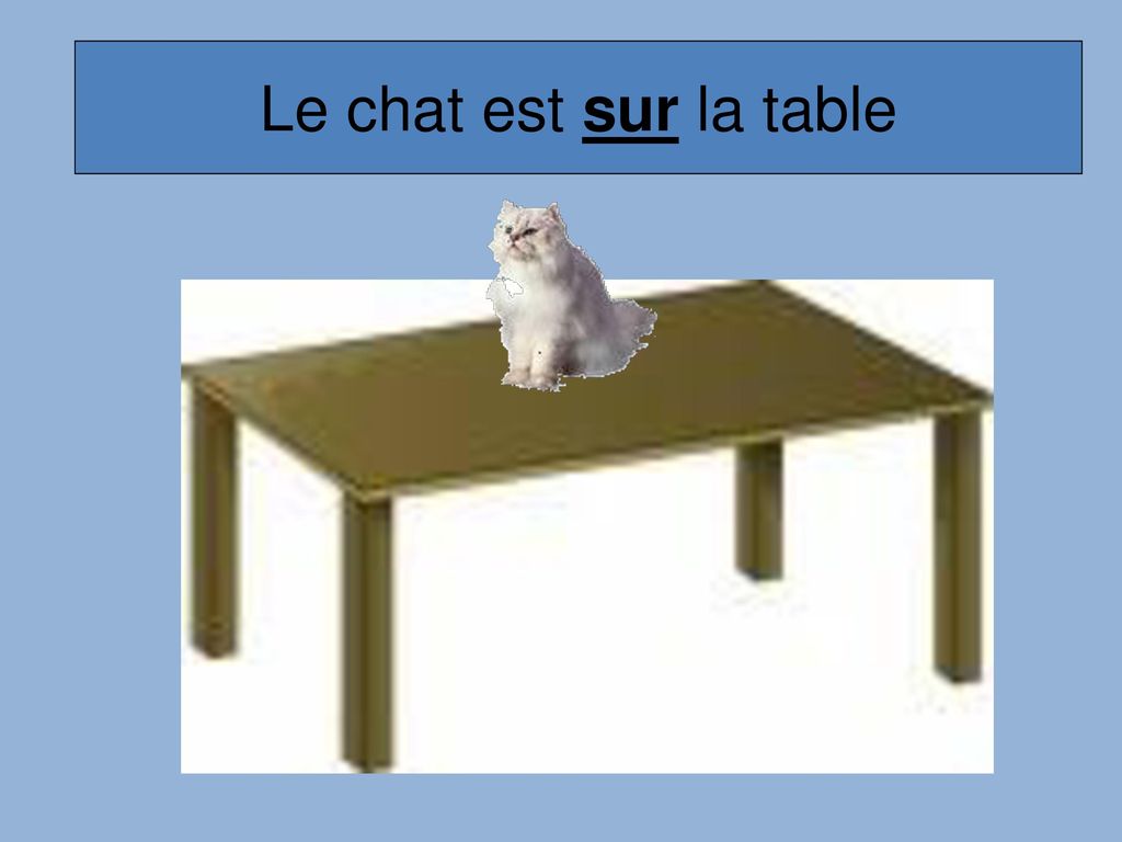 Levrette sur table