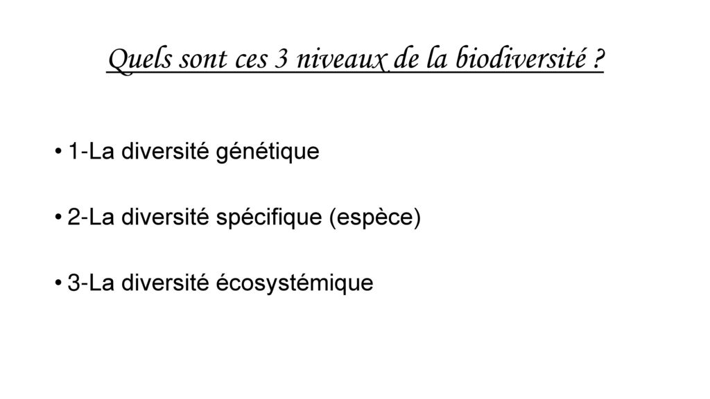 Quels sont ces 3 niveaux de la biodiversité