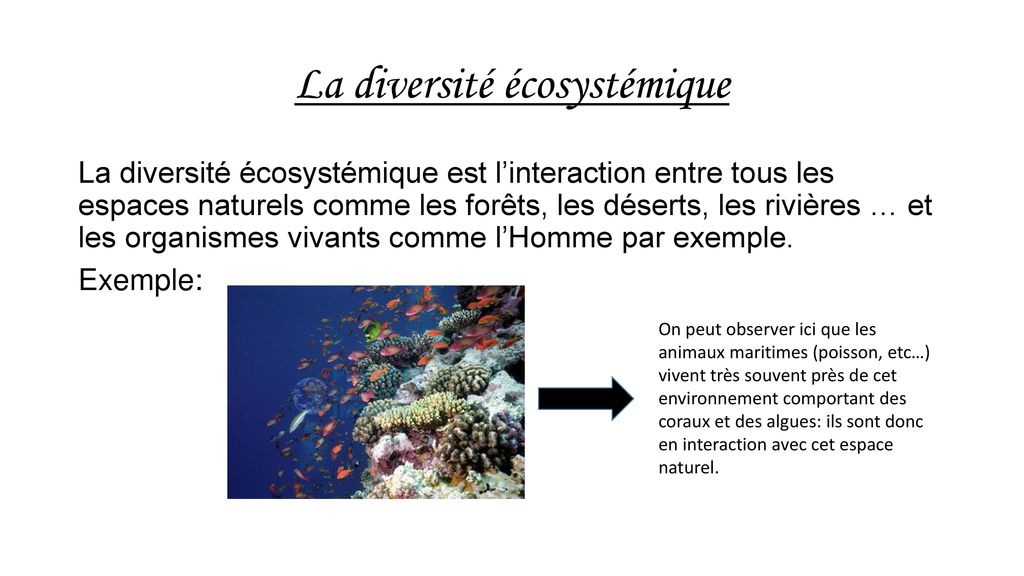 La diversité écosystémique