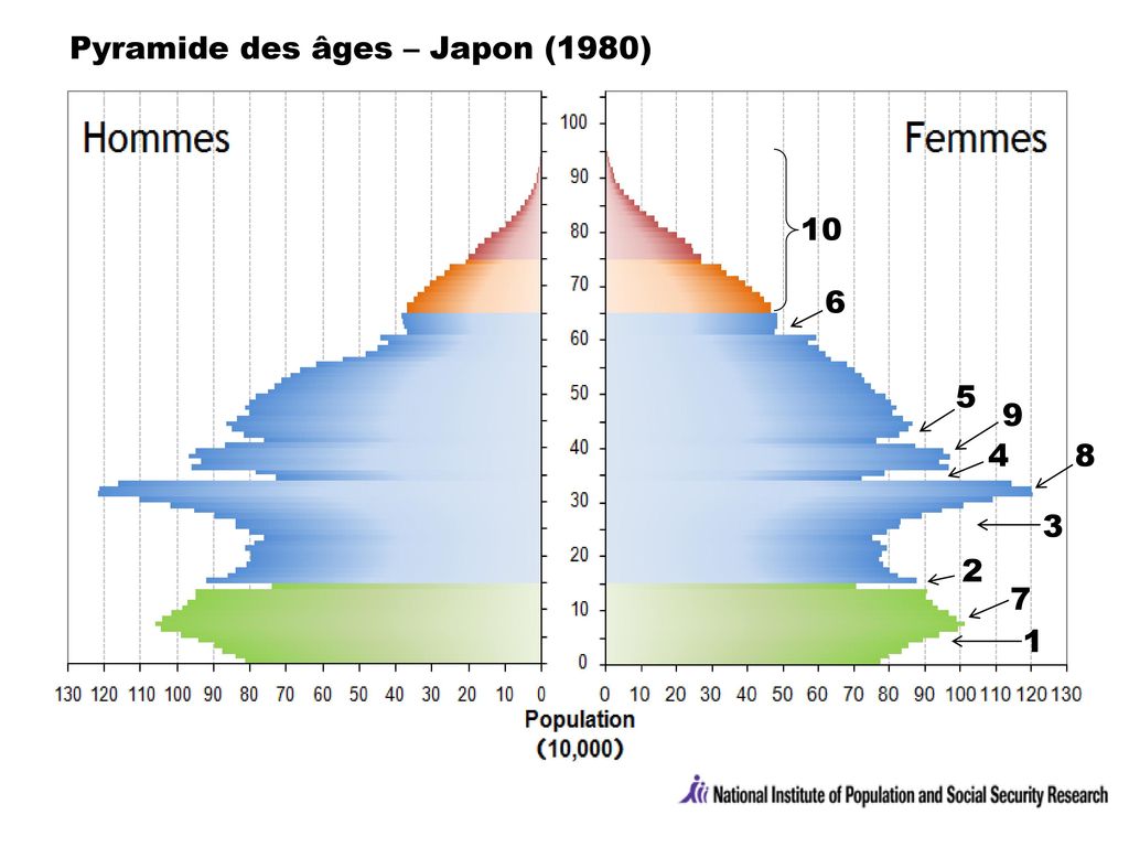 Pyramide des âges – Japon (1980)