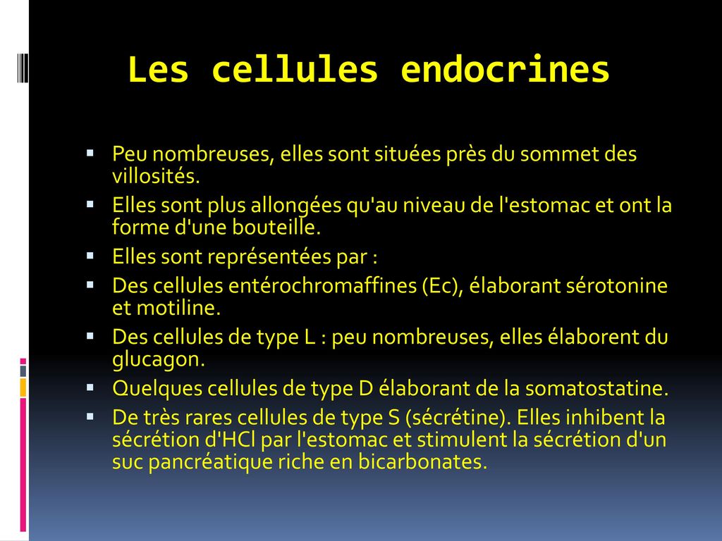 Les cellules endocrines