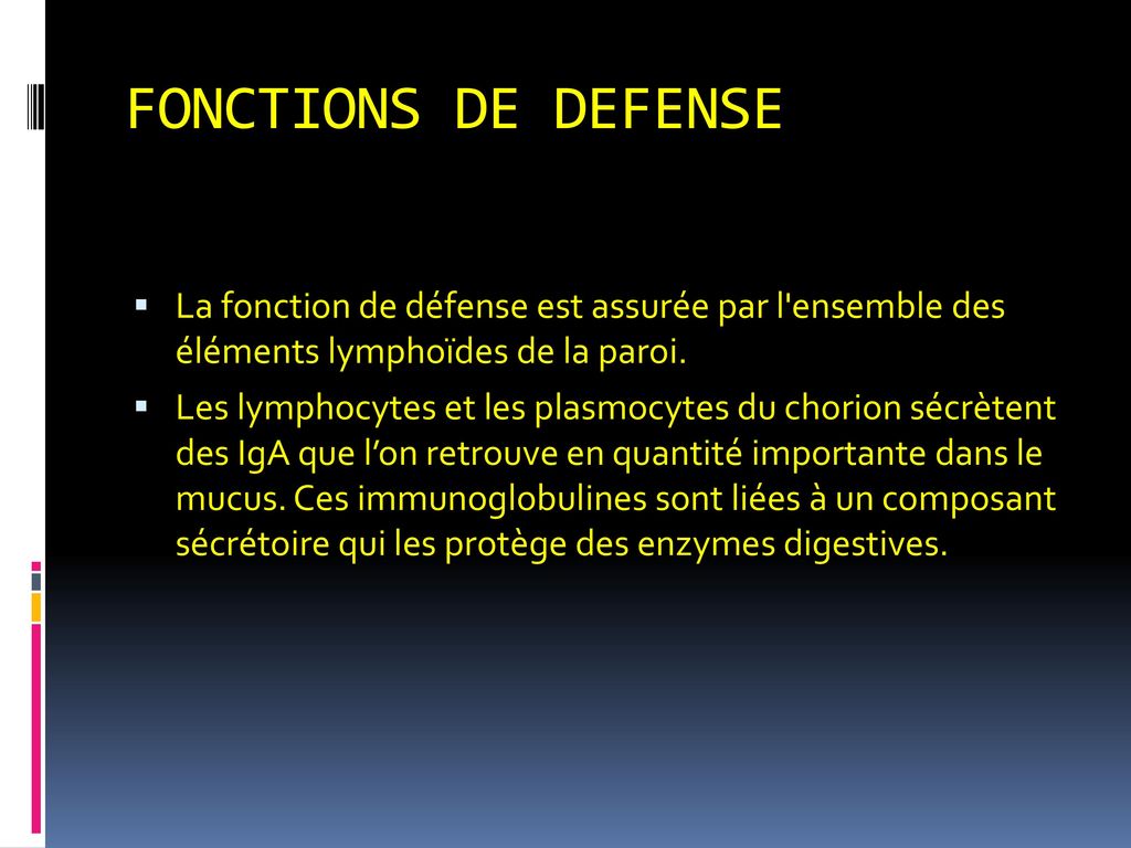 FONCTIONS DE DEFENSE La fonction de défense est assurée par l ensemble des éléments lymphoïdes de la paroi.