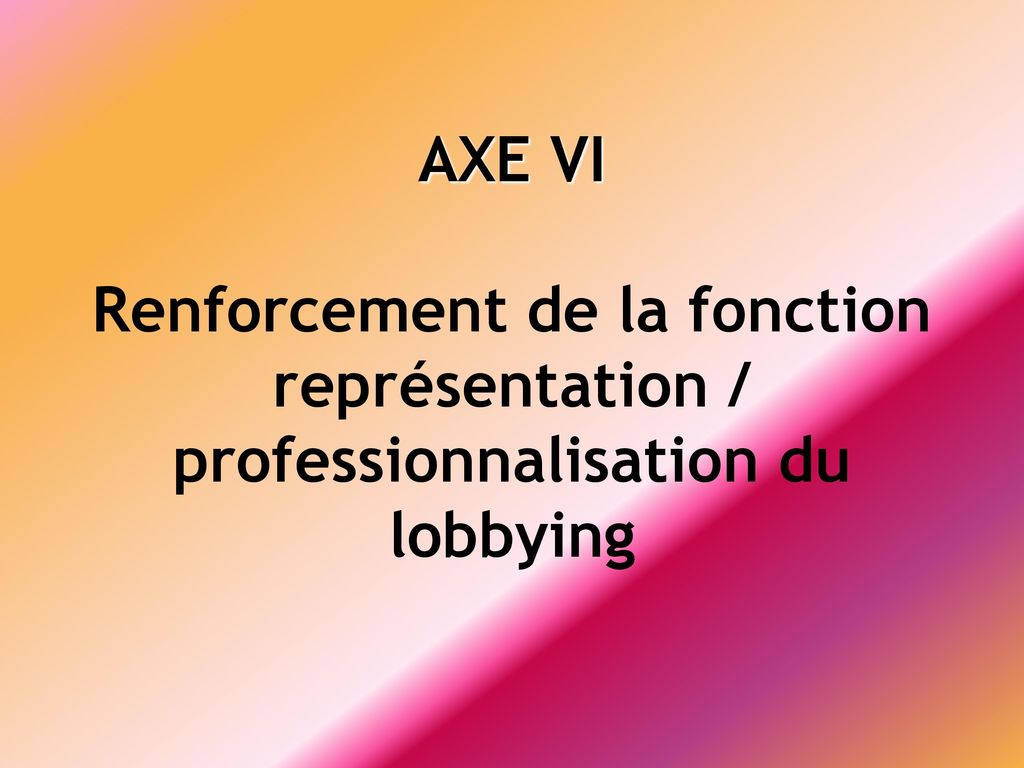 AXE VI Renforcement de la fonction représentation / professionnalisation du lobbying