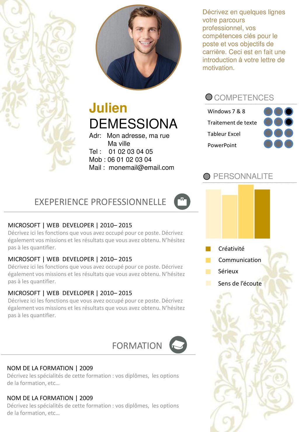 Julien DEMESSIONA EXEPERIENCE PROFESSIONNELLE FORMATION PERSONNALITE