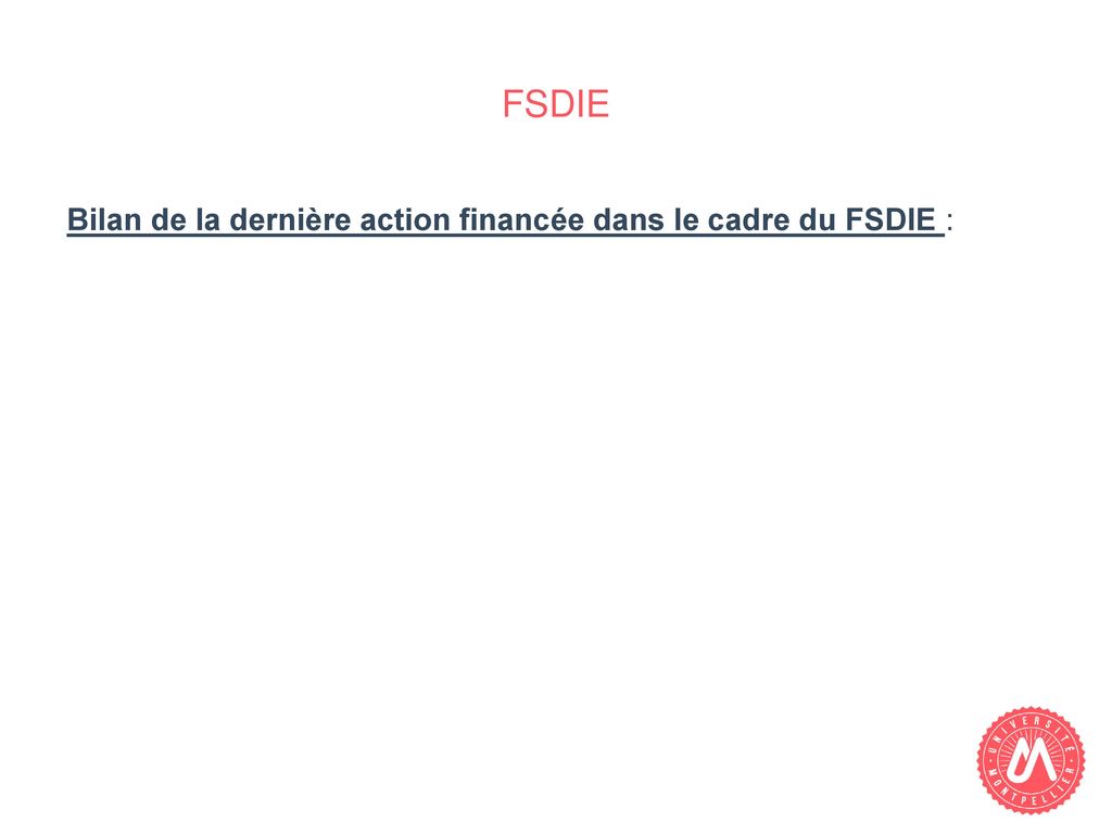 FSDIE Bilan de la dernière action financée dans le cadre du FSDIE :