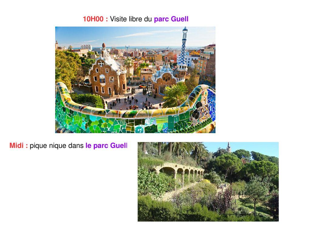 10H00 : Visite libre du parc Guell