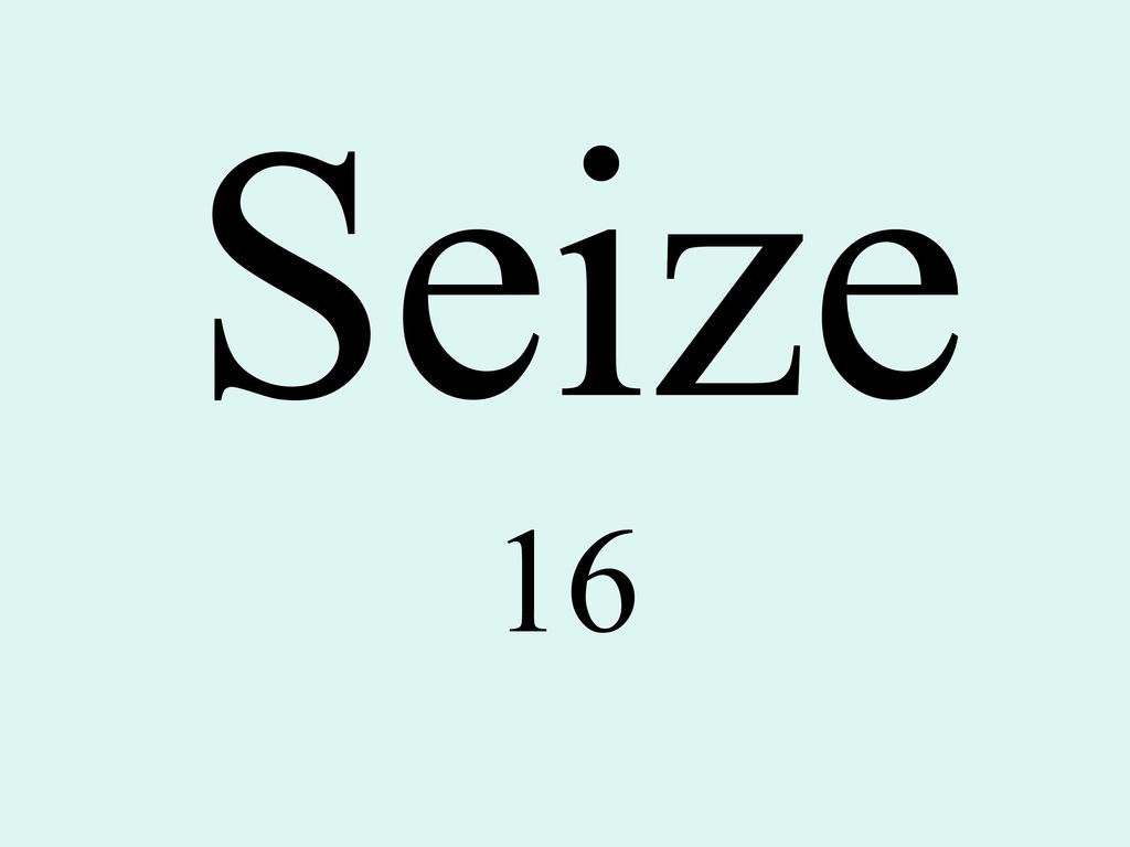 Seize 16