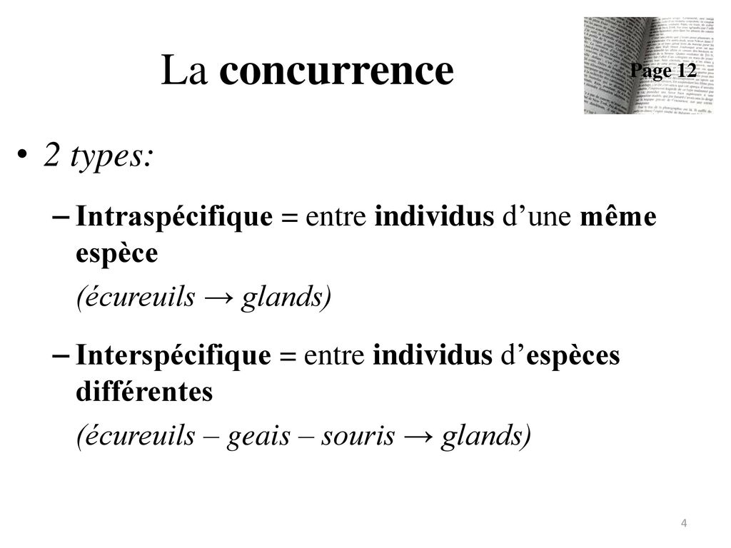 La concurrence Page types: Intraspécifique = entre individus d’une même espèce. (écureuils → glands)