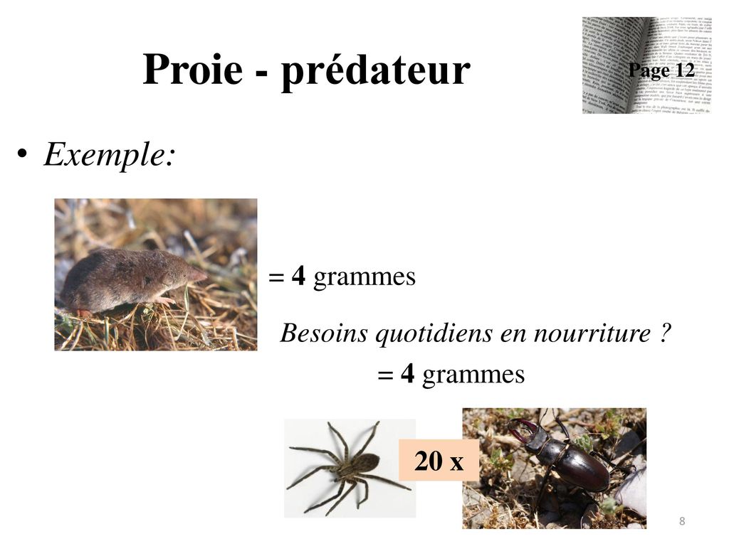 Proie - prédateur Exemple: = 4 grammes