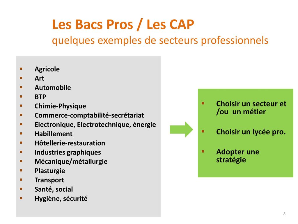 Les Bacs Pros / Les CAP quelques exemples de secteurs professionnels