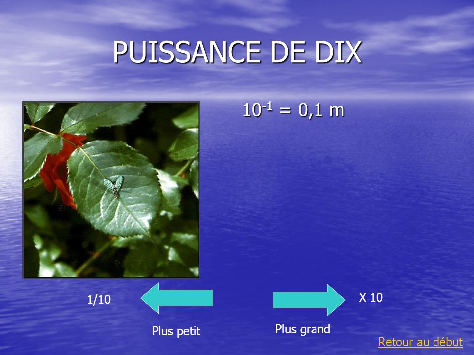 PUISSANCE DE DIX 10-1 = 0,1 m X 10 1/10 Plus grand Plus petit