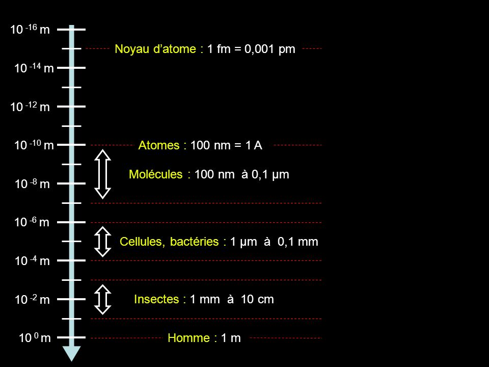 m Noyau d’atome : 1 fm = 0,001 pm m m m. Atomes : 100 nm = 1 A. Molécules : 100 nm à 0,1 µm.