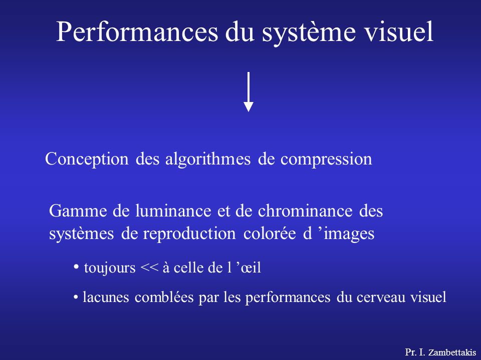 Performances du système visuel