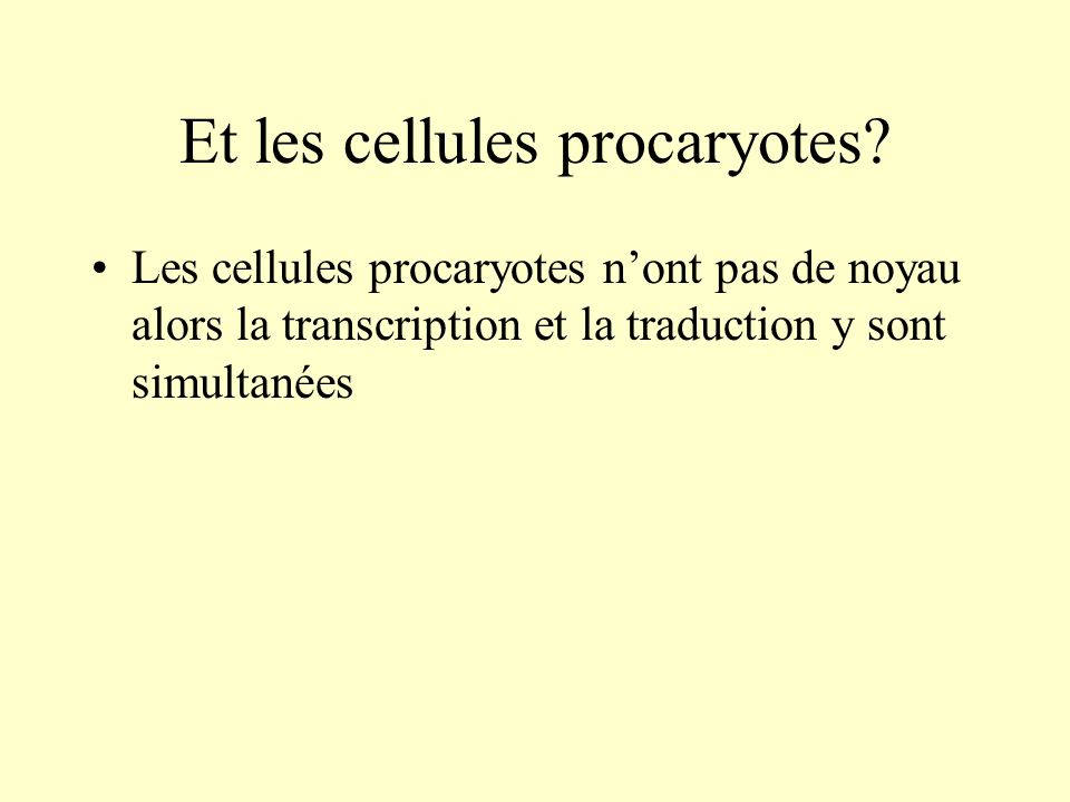 Et les cellules procaryotes