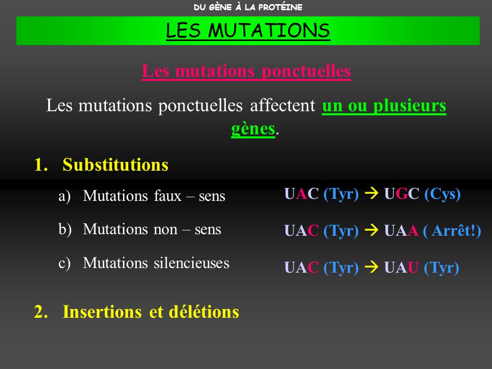Les mutations ponctuelles
