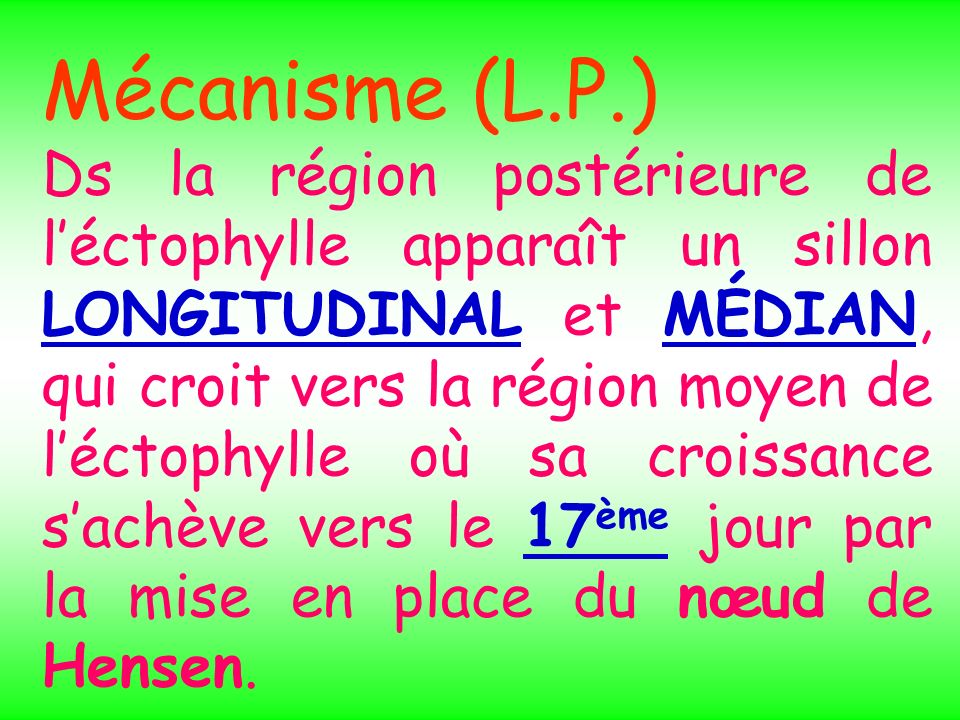 Mécanisme (L.P.)