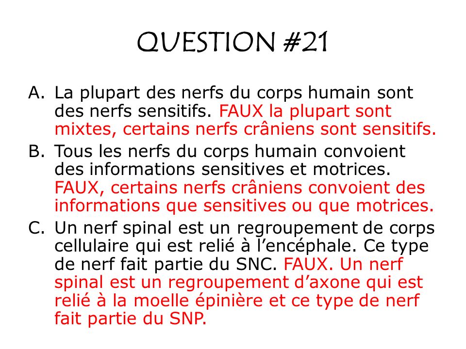 QUESTION #21 La plupart des nerfs du corps humain sont des nerfs sensitifs. FAUX la plupart sont mixtes, certains nerfs crâniens sont sensitifs.