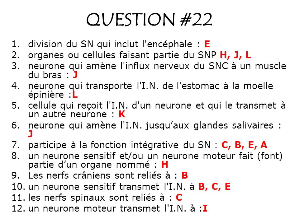 QUESTION #22 division du SN qui inclut l encéphale : E