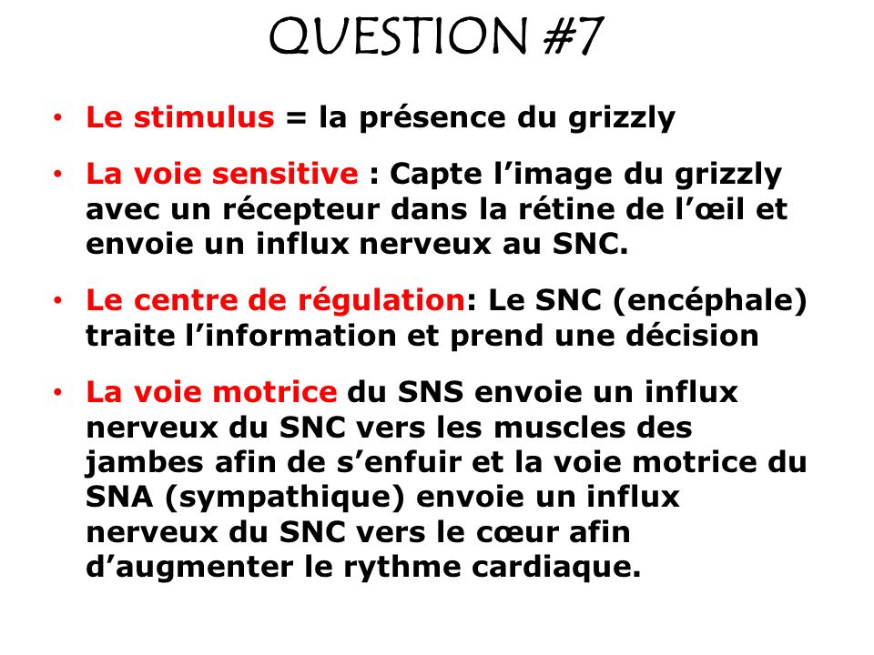 QUESTION #7 Le stimulus = la présence du grizzly