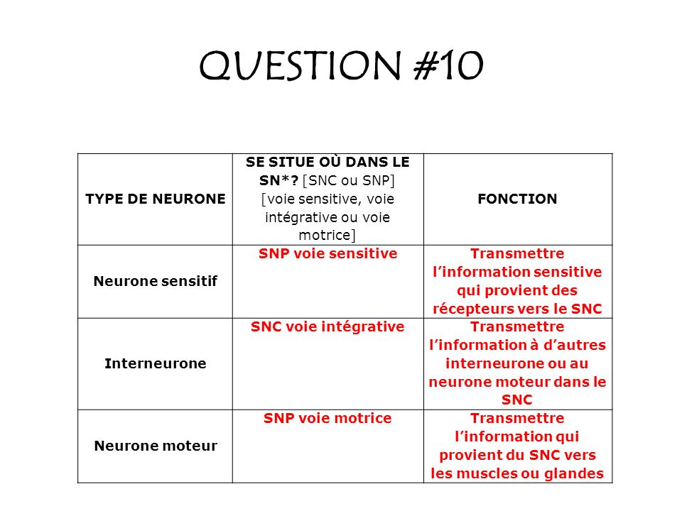 QUESTION #10 TYPE DE NEURONE SE SITUE OÙ DANS LE SN* [SNC ou SNP]