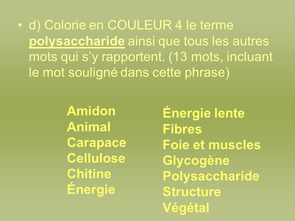 d) Colorie en COULEUR 4 le terme polysaccharide ainsi que tous les autres mots qui s’y rapportent. (13 mots, incluant le mot souligné dans cette phrase)