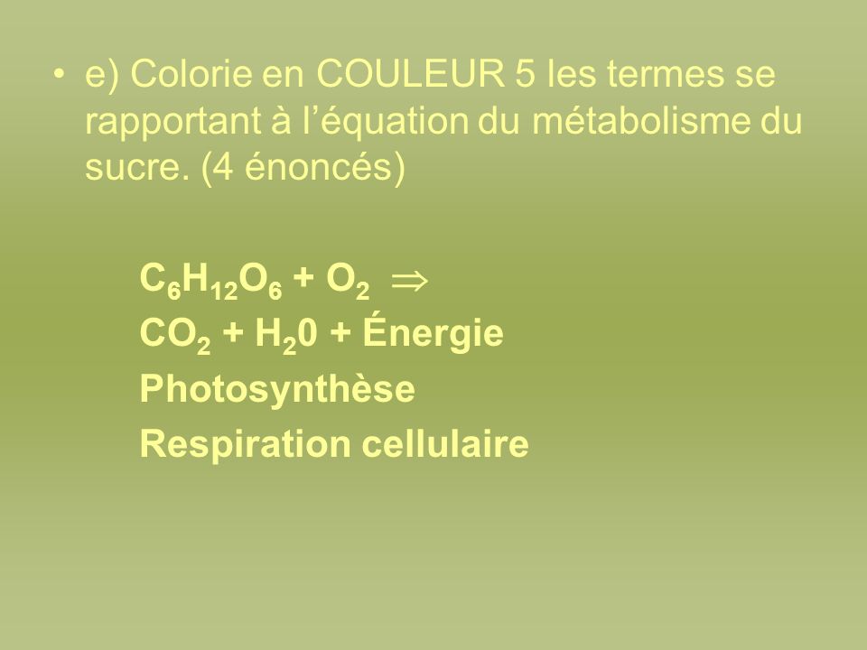 e) Colorie en COULEUR 5 les termes se rapportant à l’équation du métabolisme du sucre. (4 énoncés)