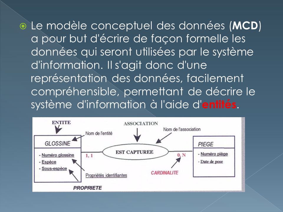 Le modèle conceptuel des données (MCD) a pour but d écrire de façon formelle les données qui seront utilisées par le système d information.