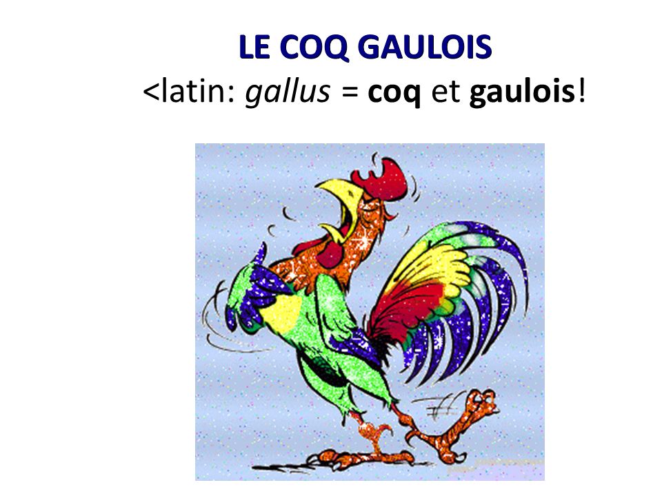 LE COQ GAULOIS <latin: gallus = coq et gaulois!