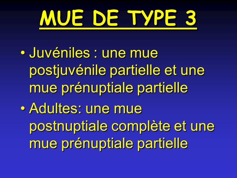 MUE DE TYPE 3 Juvéniles : une mue postjuvénile partielle et une mue prénuptiale partielle.