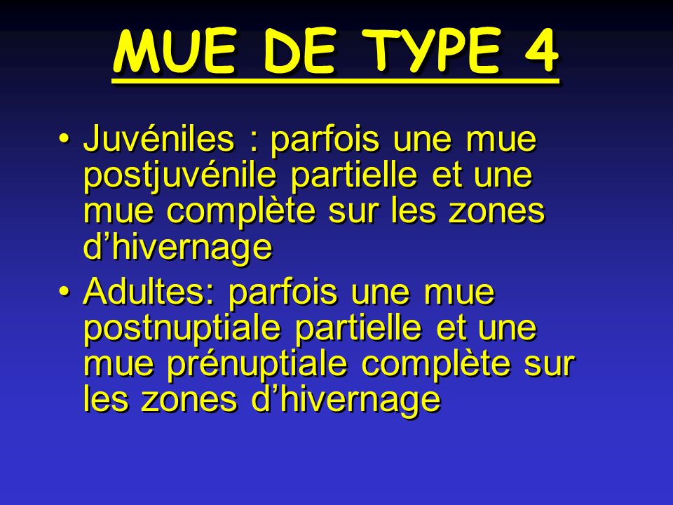 MUE DE TYPE 4 Juvéniles : parfois une mue postjuvénile partielle et une mue complète sur les zones d’hivernage.