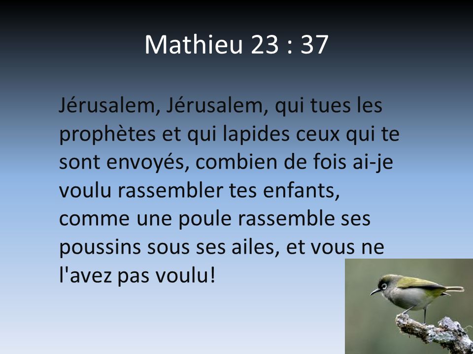 Mathieu 23 : 37