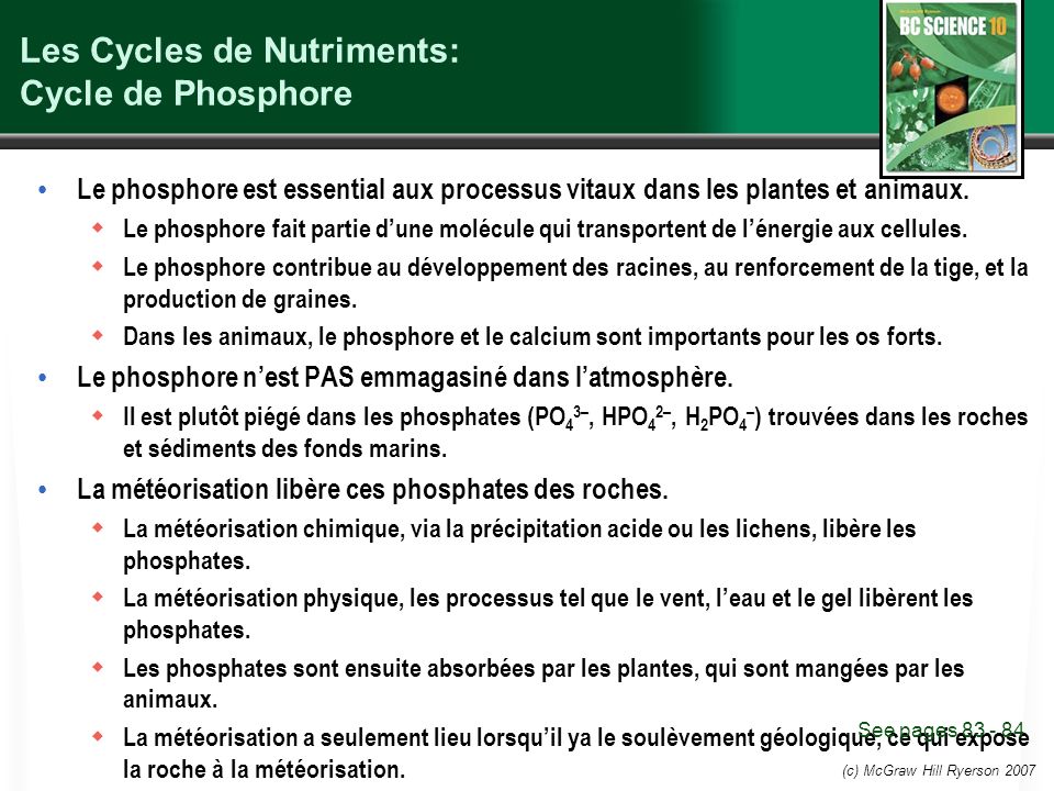 Les Cycles de Nutriments: Cycle de Phosphore