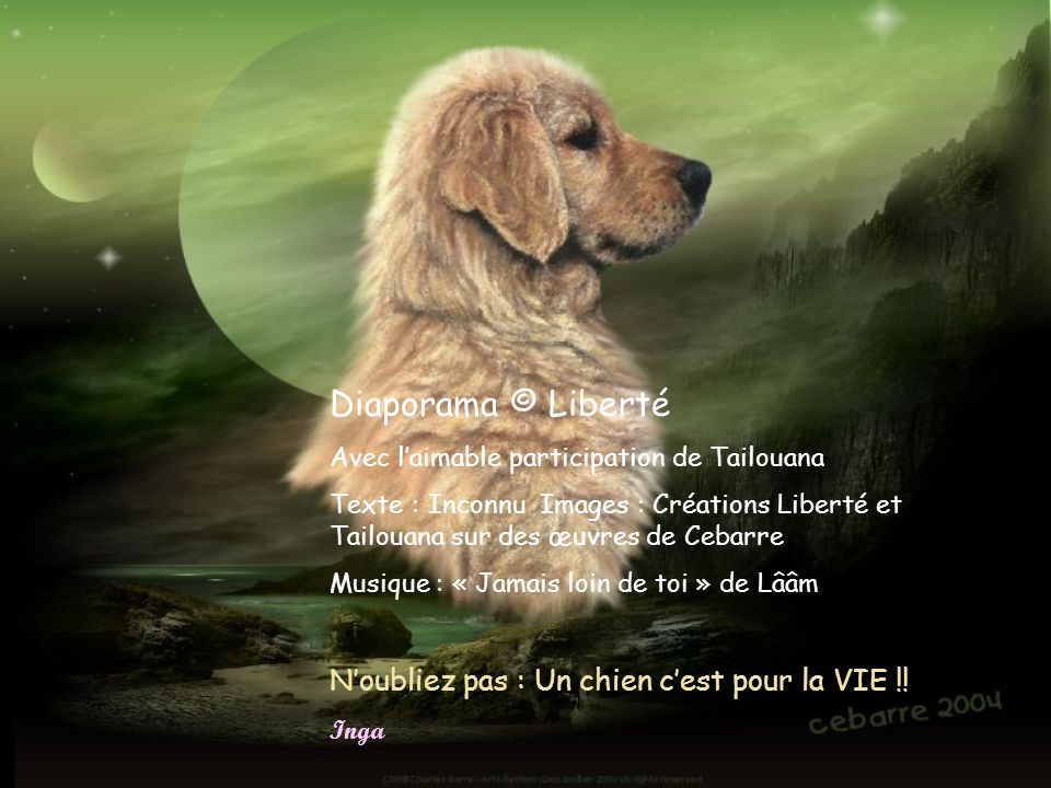 Diaporama © Liberté N’oubliez pas : Un chien c’est pour la VIE !!