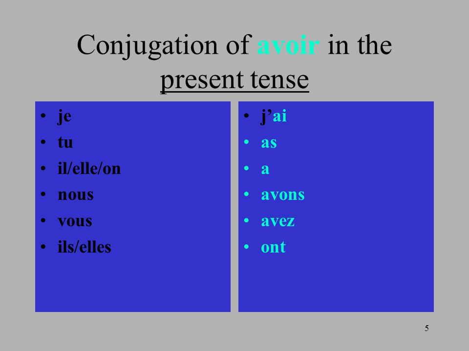 Conjugation of avoir in the present tense