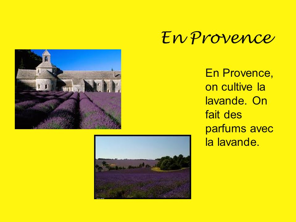 En Provence En Provence, on cultive la lavande. On fait des parfums avec la lavande.