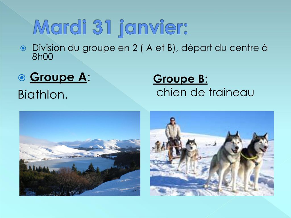 Mardi 31 janvier: Groupe A: Biathlon. Groupe B: chien de traineau