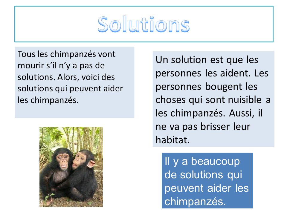 Solutions Tous les chimpanzés vont mourir s’il n’y a pas de solutions. Alors, voici des solutions qui peuvent aider les chimpanzés.