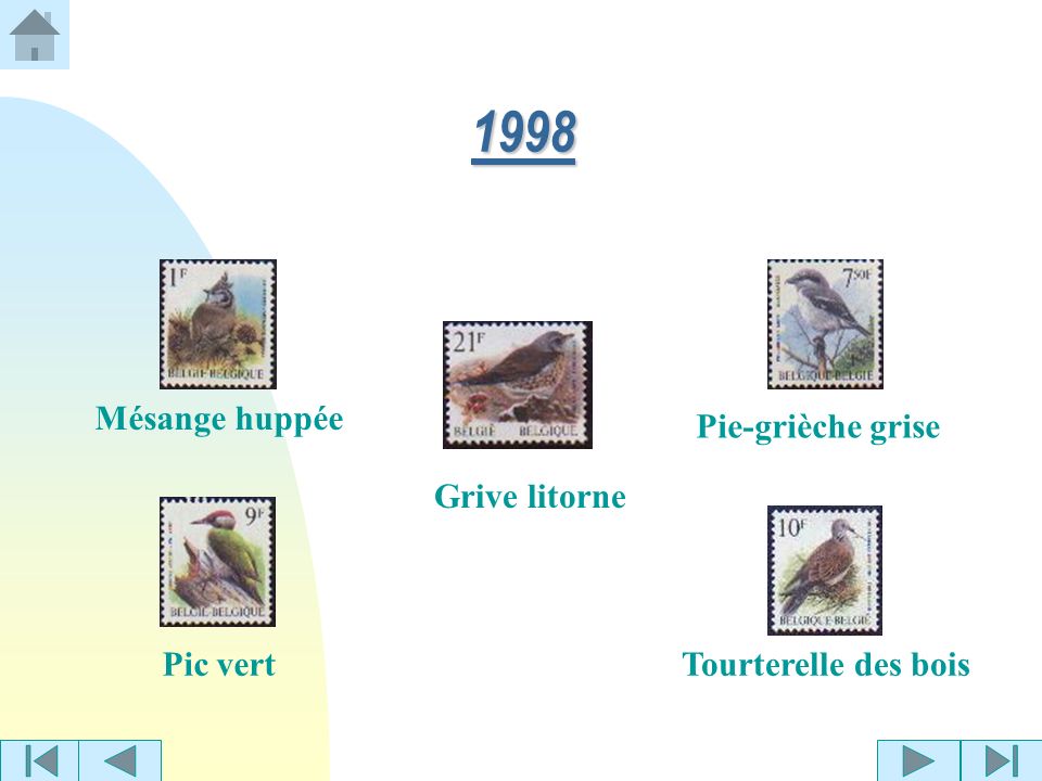 1998 Mésange huppée Pie-grièche grise Grive litorne Pic vert