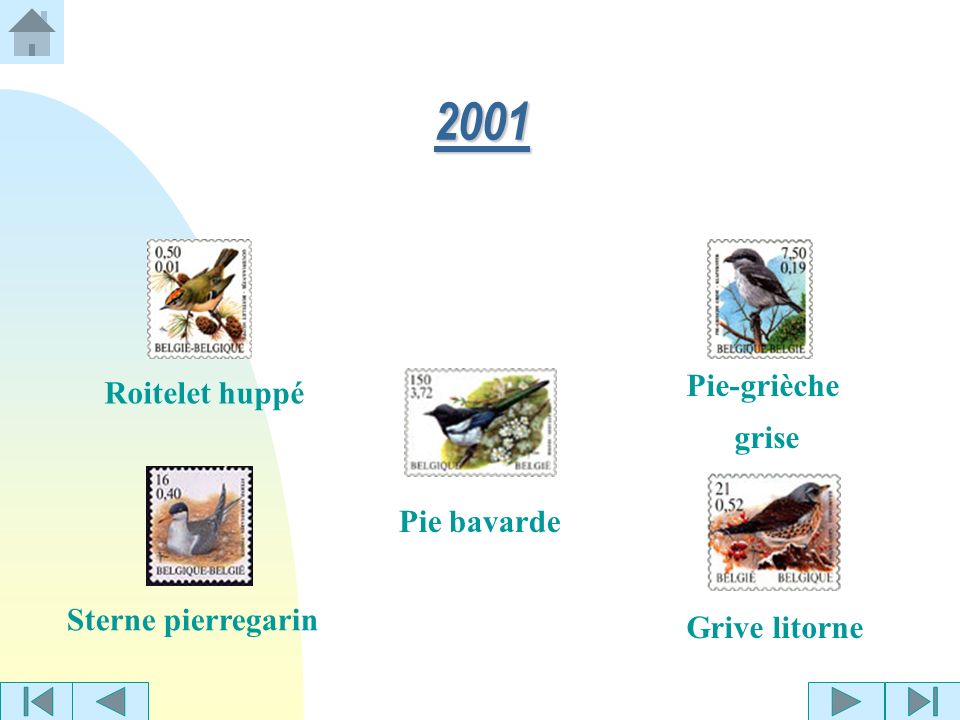 2001 Pie-grièche Roitelet huppé grise Pie bavarde Sterne pierregarin