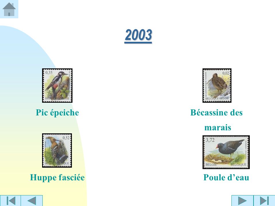 2003 Pic épeiche Bécassine des marais Huppe fasciée Poule d’eau